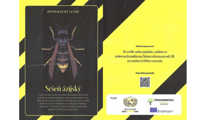 Informačný leták - Sršeň ázijský
