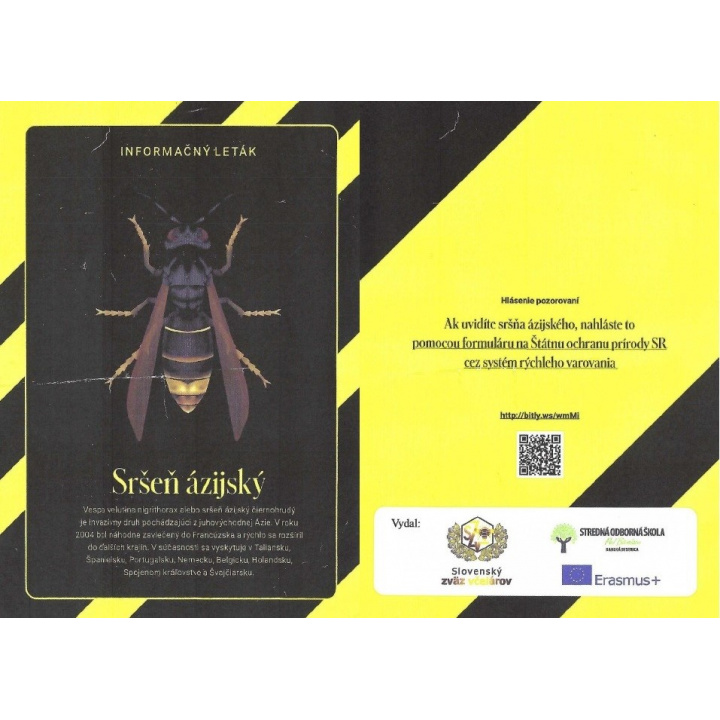 Informačný leták - Sršeň ázijský